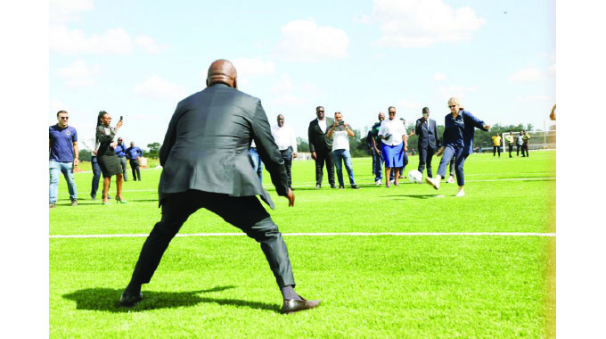 Artificial grass for NSS?
