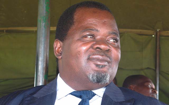 MP keeps pigs at Belvedere home