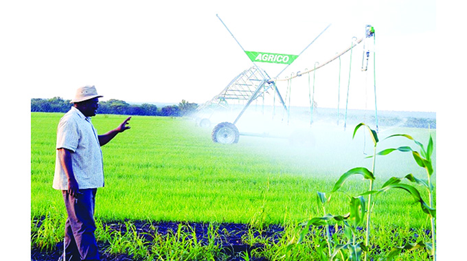 EDITORIAL COMMENT : Real farmers win when they back efforts to get rid of cheats