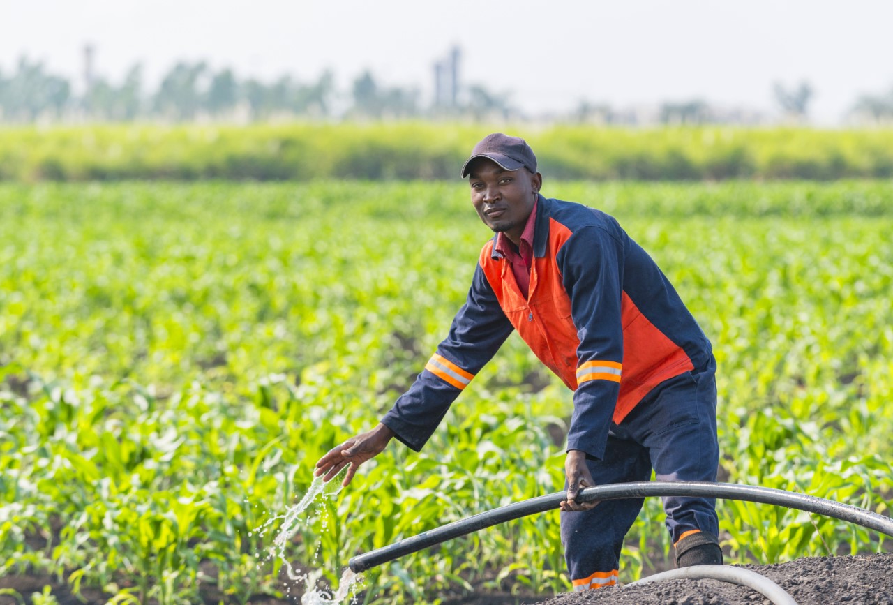 Chisumbanje turns into a greenbelt