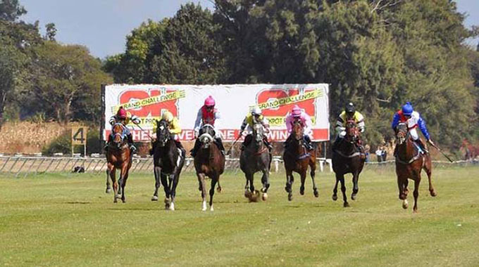 Racing returns to Borrowdale Park