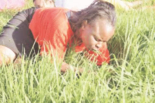 A worshipper eats grass on the instruction of a prophet in South Africa