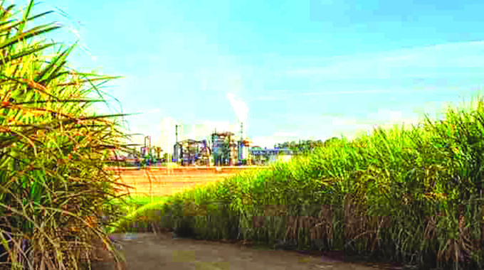 Hippo Valley records 68pc surge in sugar export sales