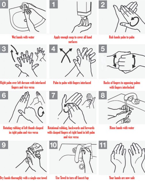 How to wash your hands properly
