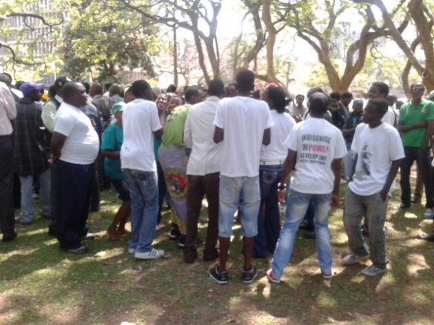Zanu PF youths outside parliament building. (Pic by Farai Kuvirimirwa)