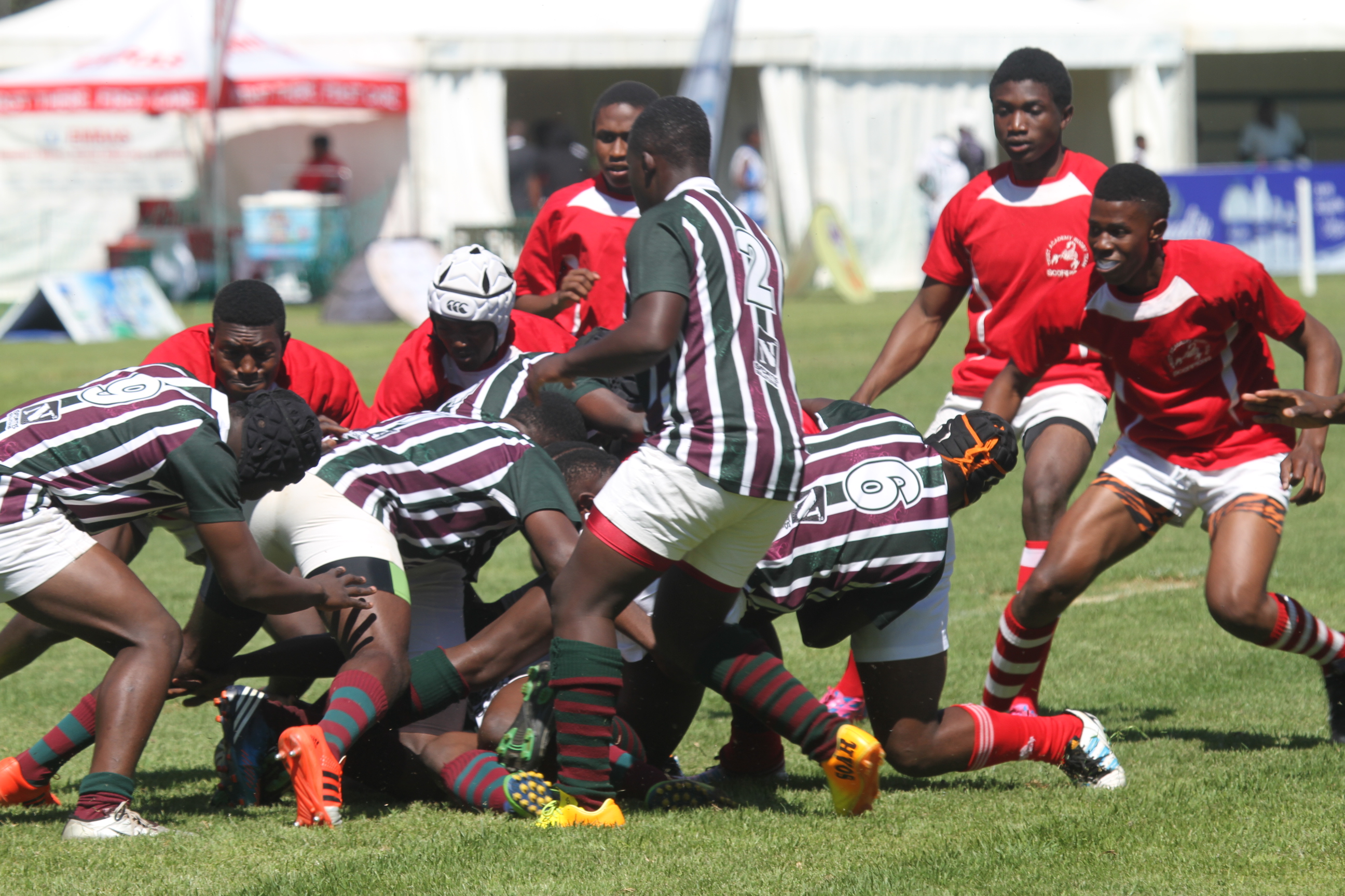 IMG_8079