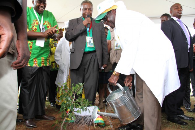 President Mugabe waters the tree he planted this morning as part of the National Tree Planting Day in Chinhoyi while Minister of Environment, Water and Climate claps (Pic by John Manzongo)