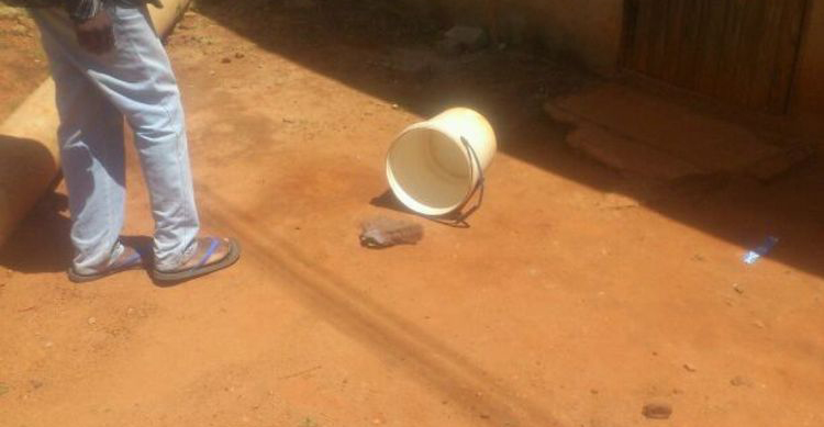 Kamba ine wivhi mumba