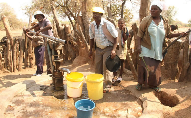 Chibhorani chiri kubuda . . .nyama, nyoka, vhudzi