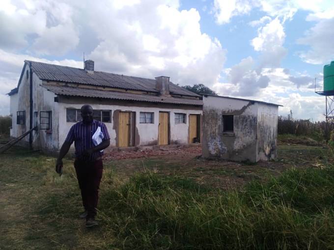 Chikoro chitsva chobatsira