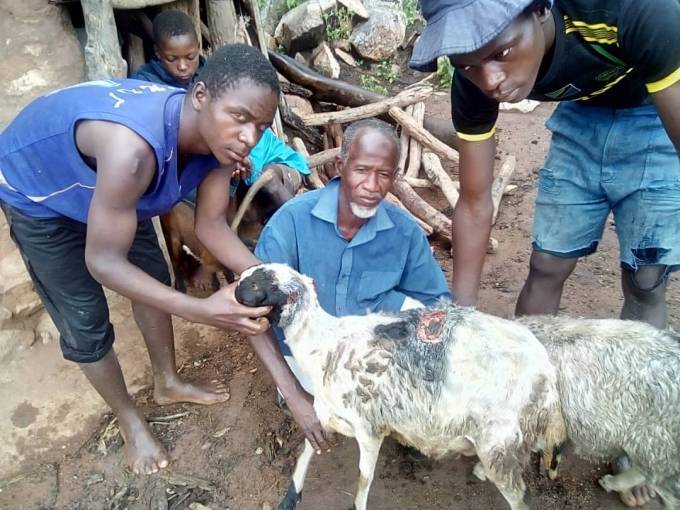 Mapere arura kwaGutu