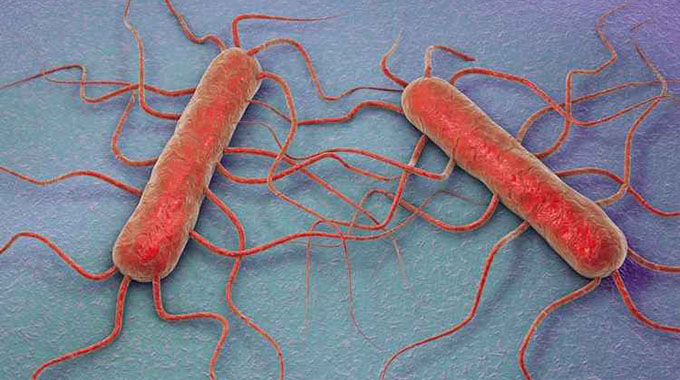 Spike in Listeria infections in SA: Why it matters
