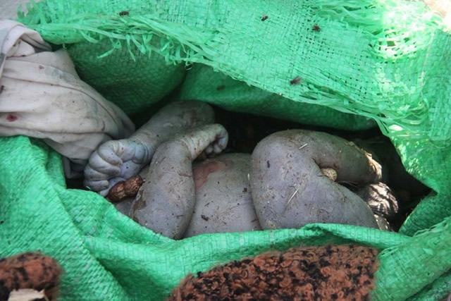 ‘No justification for baby dumping’