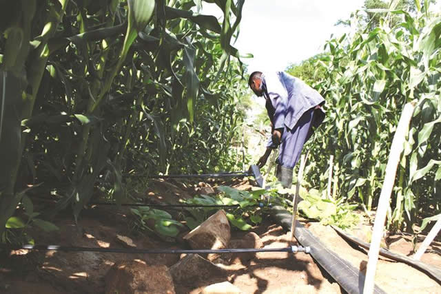 Farming: Vital to put money where mouth is