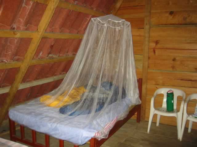 Malaria: Zviratidzo nekudziviriro