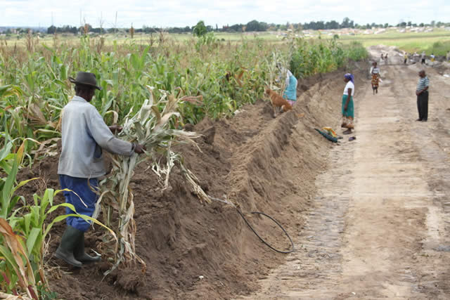 Crop destruction angers Mabvuku residents