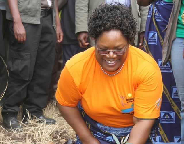 Use alternative energy sources: VP Mujuru