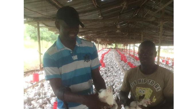 Hard work pays off for young farmer