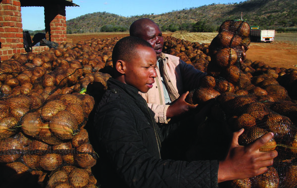Young farmers, miners in milestones