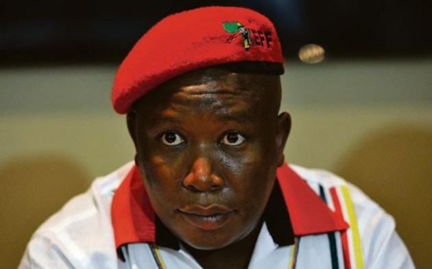 Mr Malema