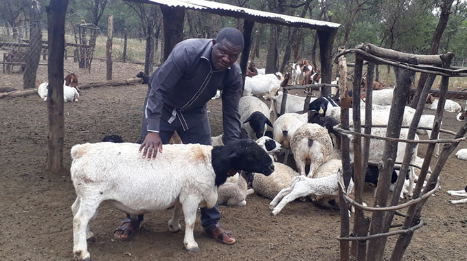 Farmer does wonders on 5ha plot