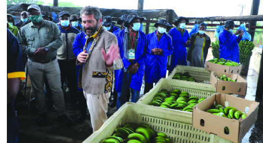 Matanuska creates horticulture greenbelts