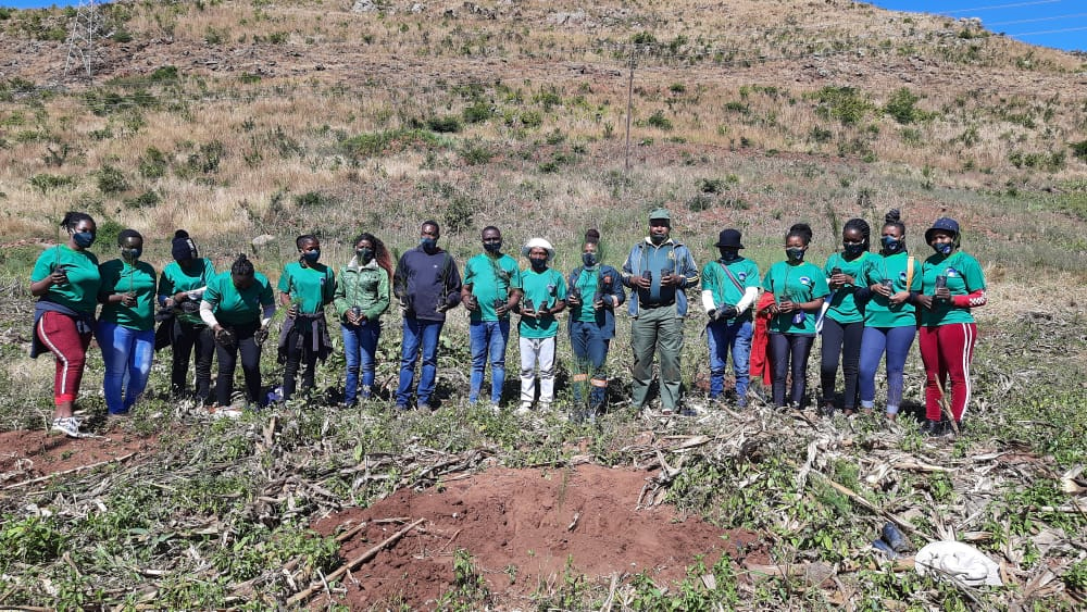 MAYA commemorates World Environmental Day