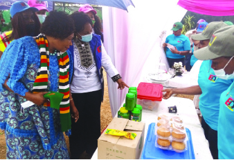 Take up mining: Minister Mutsvangwa