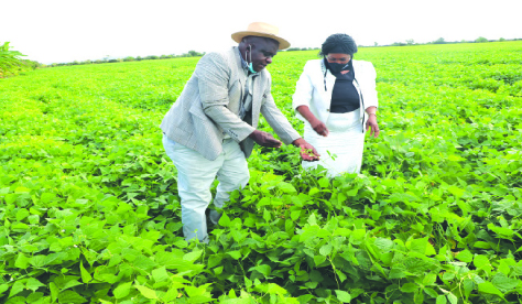 Green Fuel in the community . . .