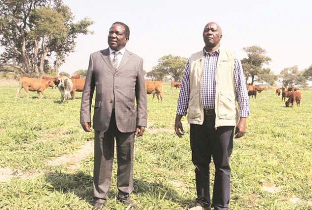 Vice President Emmerson Mnangagwa and Arda chairman Mr Basil Nyabadza pose for a photo in a pasture field with hybrid grass during a tour of Hunyani Estates outside Norton yesterday. — (Picture by Kudakwashe Hunda)