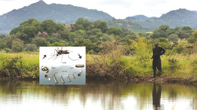 How dams increase risk of malaria