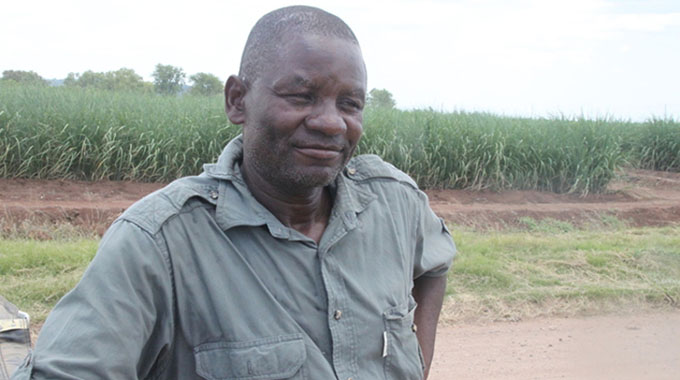 300 Shangaan males undergo circumcision
