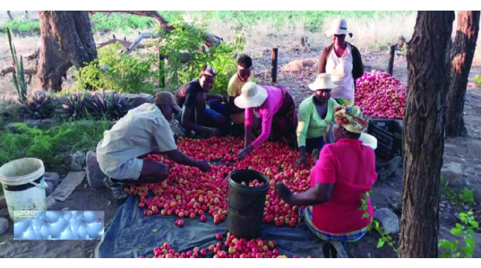 Young farmer opts for technology