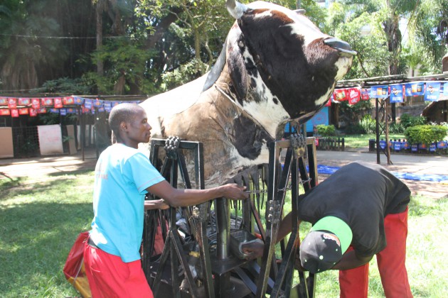 Mr Wilson Kasima (left) and Tafadzwa Chiware preparing their exhibition at HIFA yesterday