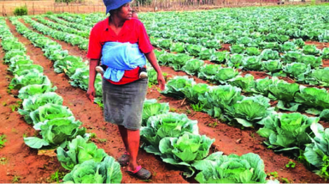 Small-scale irrigation schemes making an impact on food production