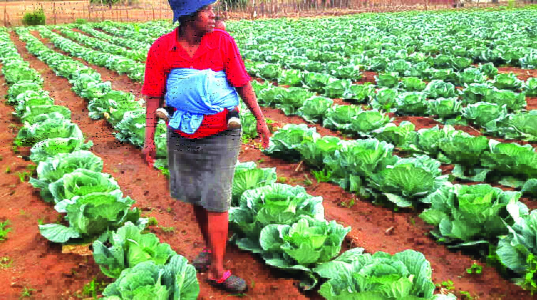 Unlocking Manicaland’s irrigation potential