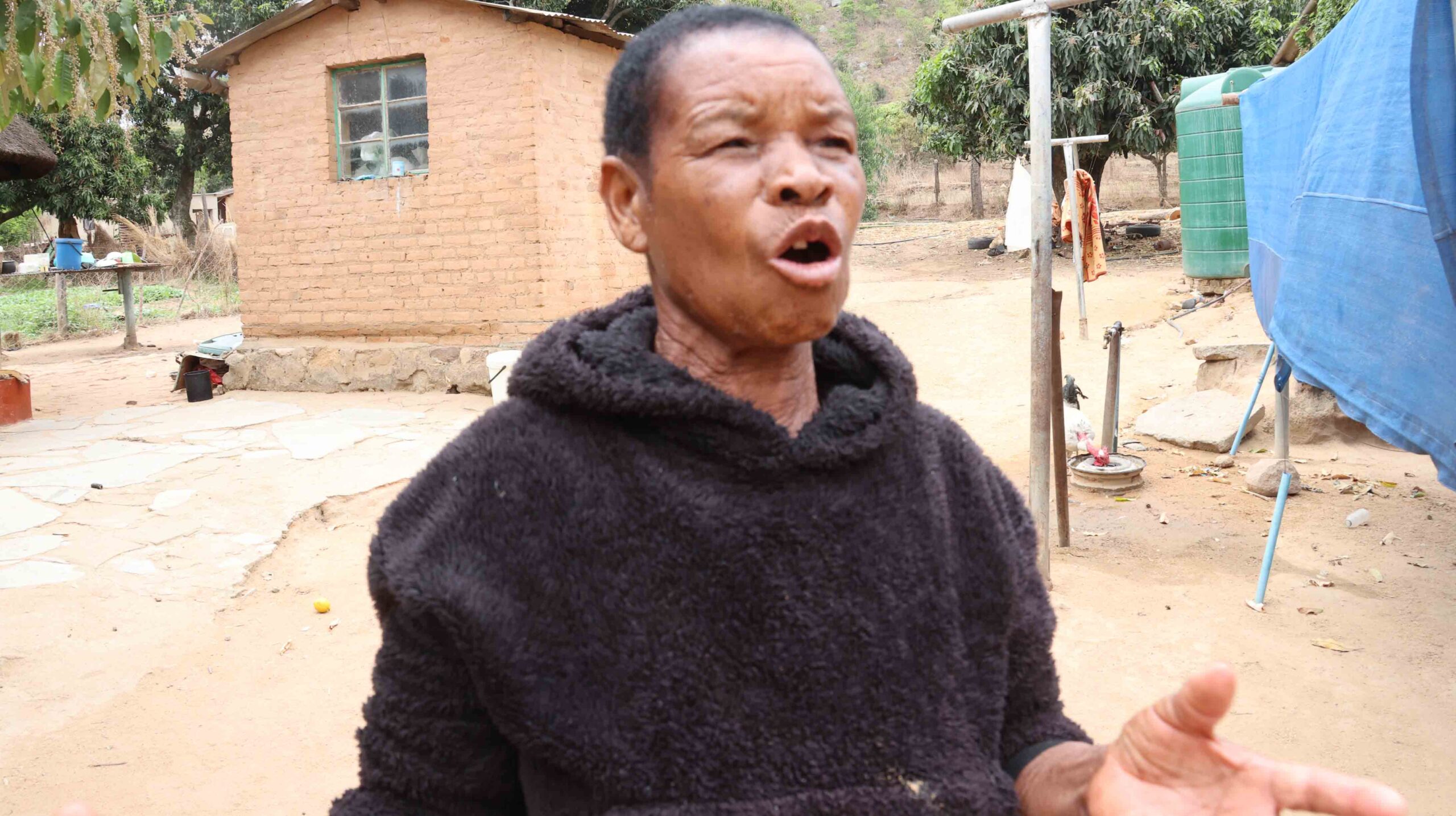 Mrs Juliet Dzidzi, the owner of the cattle