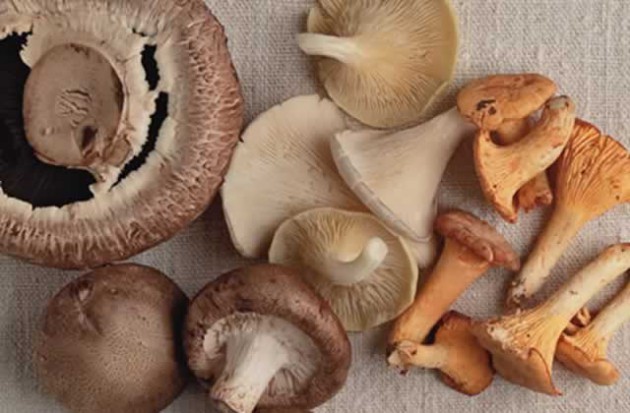 Varieties of mushrooms including checheche, tsvuketsvuke, nzeve, huvhe and, of course, the ubiquitous nhedzi as seen above are part of the rich organic African relishes of old
