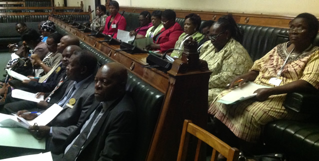 Senators follow proceedings as NIEEB chief executive officer, Mr Wilson Gwatiringa gives oral evidence before the committee (pic by Lloyd Gumbo)