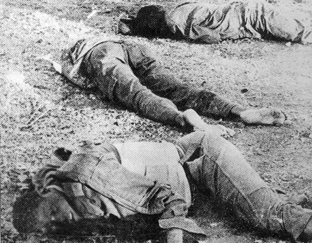 How Selous Scouts planned, executed Nyadzonia massacre
