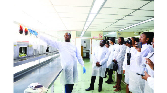 The lifeblood of a nation: Zim’s quiet heroes of blood donation