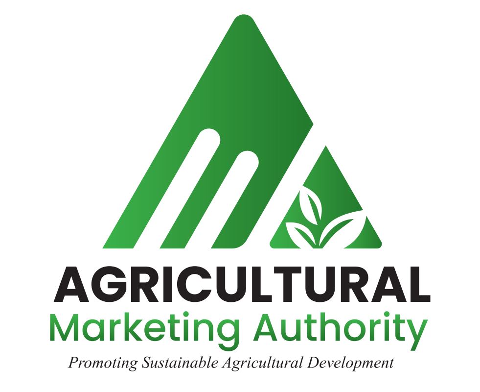 2024 cotton marketing season: Farmers get cash on delivery