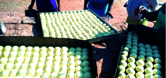 Industriousness breeds empowerment