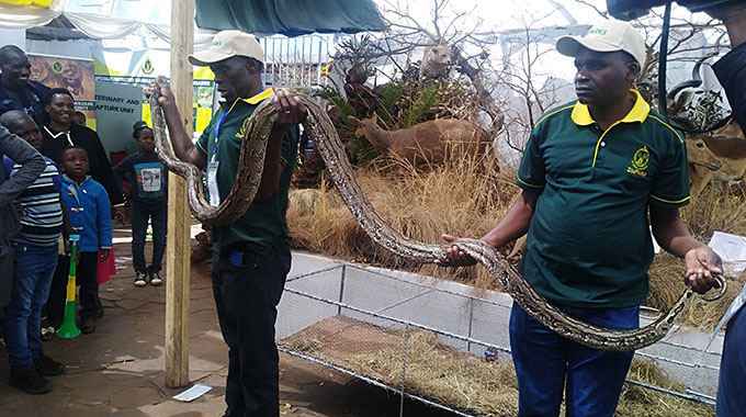 Ngwarirai nyoka mudzimba: ZimParks