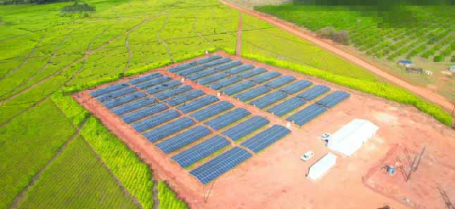 One of the three solar sites installed at Tanganda Tea Company