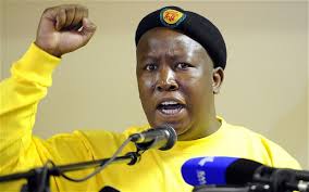 Julius Malema: The Return