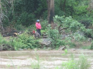 Two suspected border jumpers wait to be rescued after being marooned along Limpopo River in Beitbridge yesterday. — (Picture by Thupeyo Muleya)