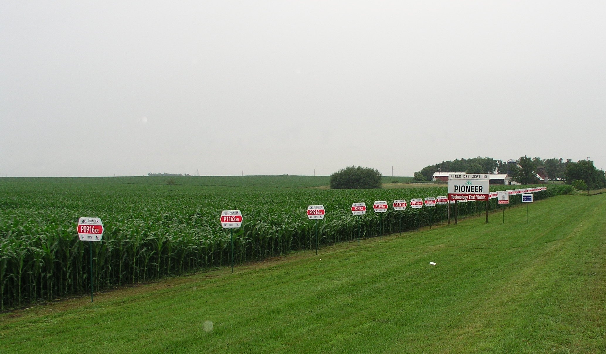 Pioneer scales down seed production