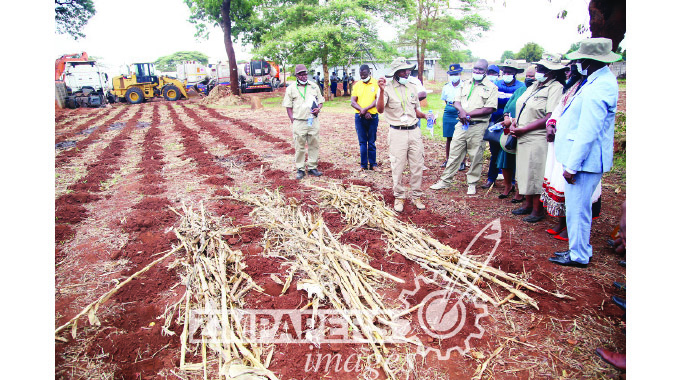 First Lady hails peri-urban farmers