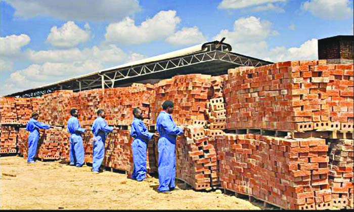 Willdale targets return to profitability